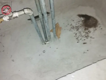 平谷卫生间测漏水价格明细