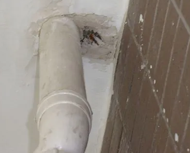 平谷漏水检测哪家好